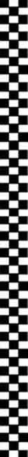 checkerfinal.JPG (21913 bytes)